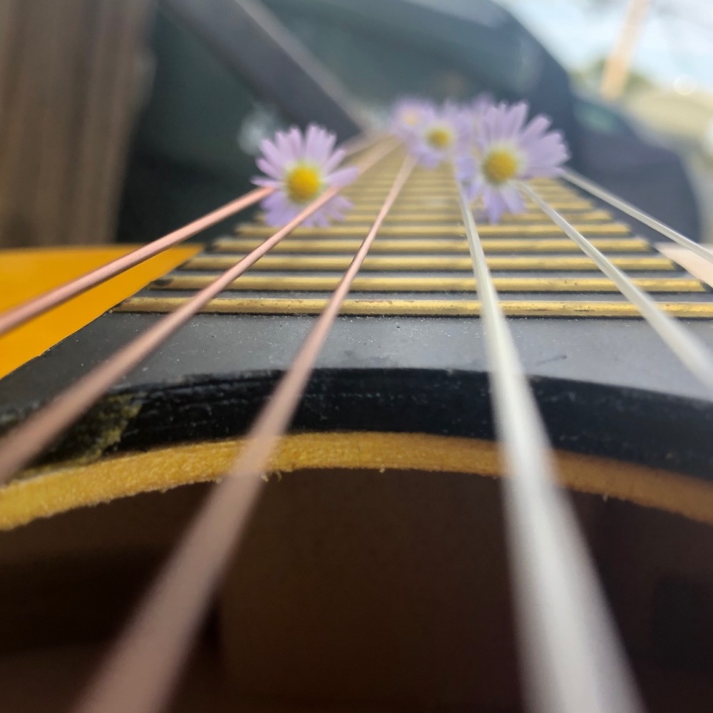 Meet your Posher, Braylee